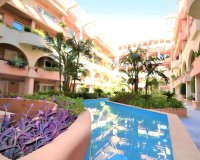 Wiederverkauf - apartment - Marbella - Nueva Andalucía