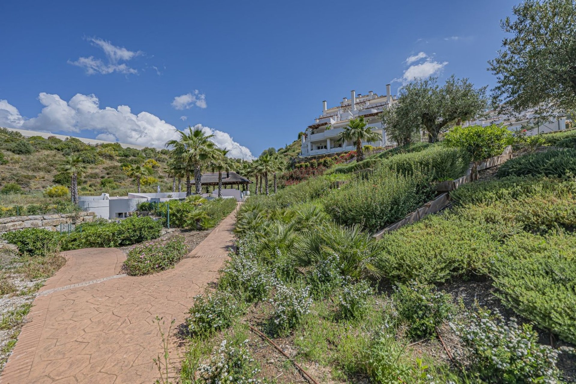 Wiederverkauf - apartment - Marbella - Nueva Andalucía