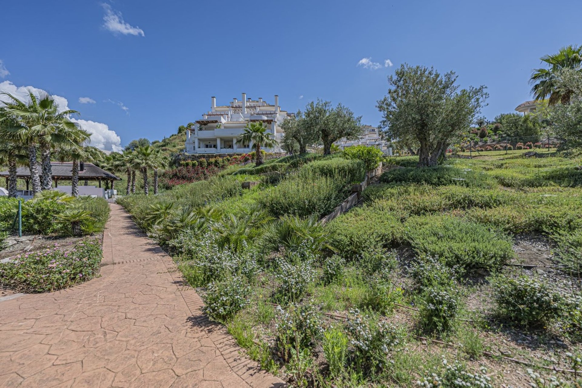 Wiederverkauf - apartment - Marbella - Nueva Andalucía