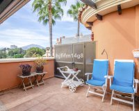 Wiederverkauf - apartment - Marbella - Nueva Andalucía