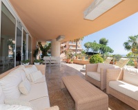 Wiederverkauf - apartment - Marbella - Nueva Andalucía