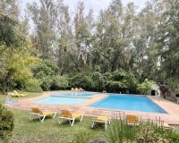 Wiederverkauf - apartment - Marbella - Nueva Andalucía