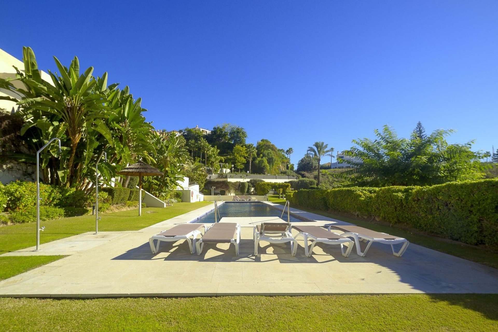 Wiederverkauf - apartment - Marbella - Nueva Andalucía