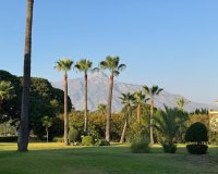 Wiederverkauf - apartment - Marbella - Nueva Andalucía