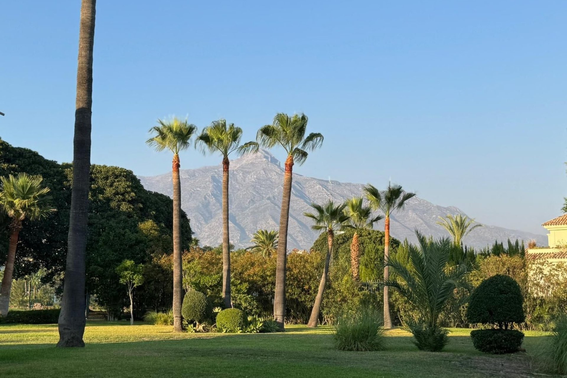 Wiederverkauf - apartment - Marbella - Nueva Andalucía
