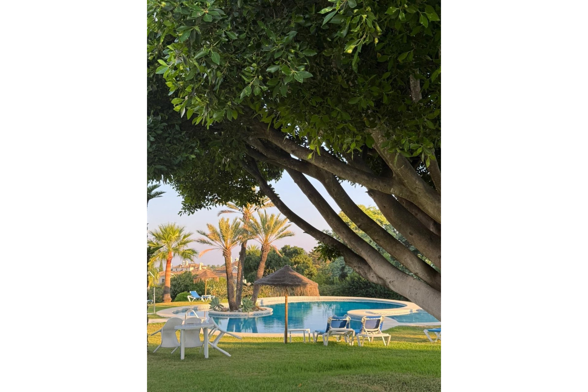 Wiederverkauf - apartment - Marbella - Nueva Andalucía