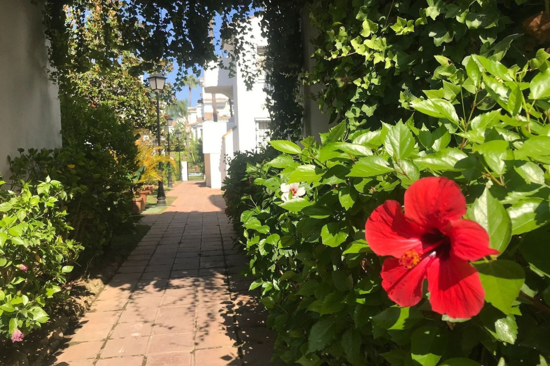 Wiederverkauf - apartment - Marbella - Nueva Andalucía