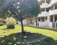 Wiederverkauf - apartment - Marbella - Nueva Andalucía