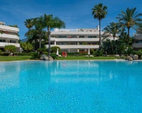 Wiederverkauf - apartment - Marbella - Nueva Andalucía
