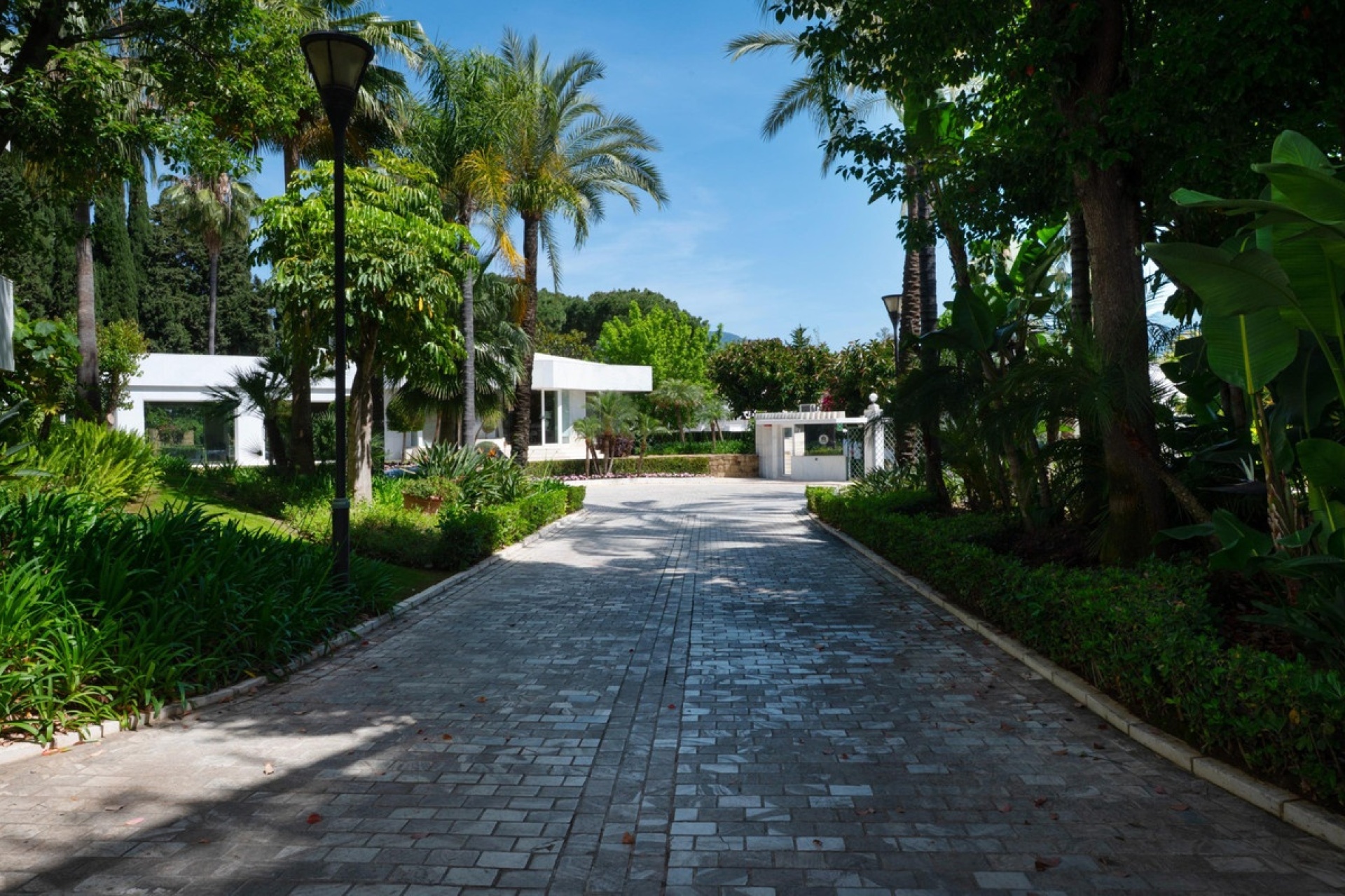 Wiederverkauf - apartment - Marbella - Nueva Andalucía