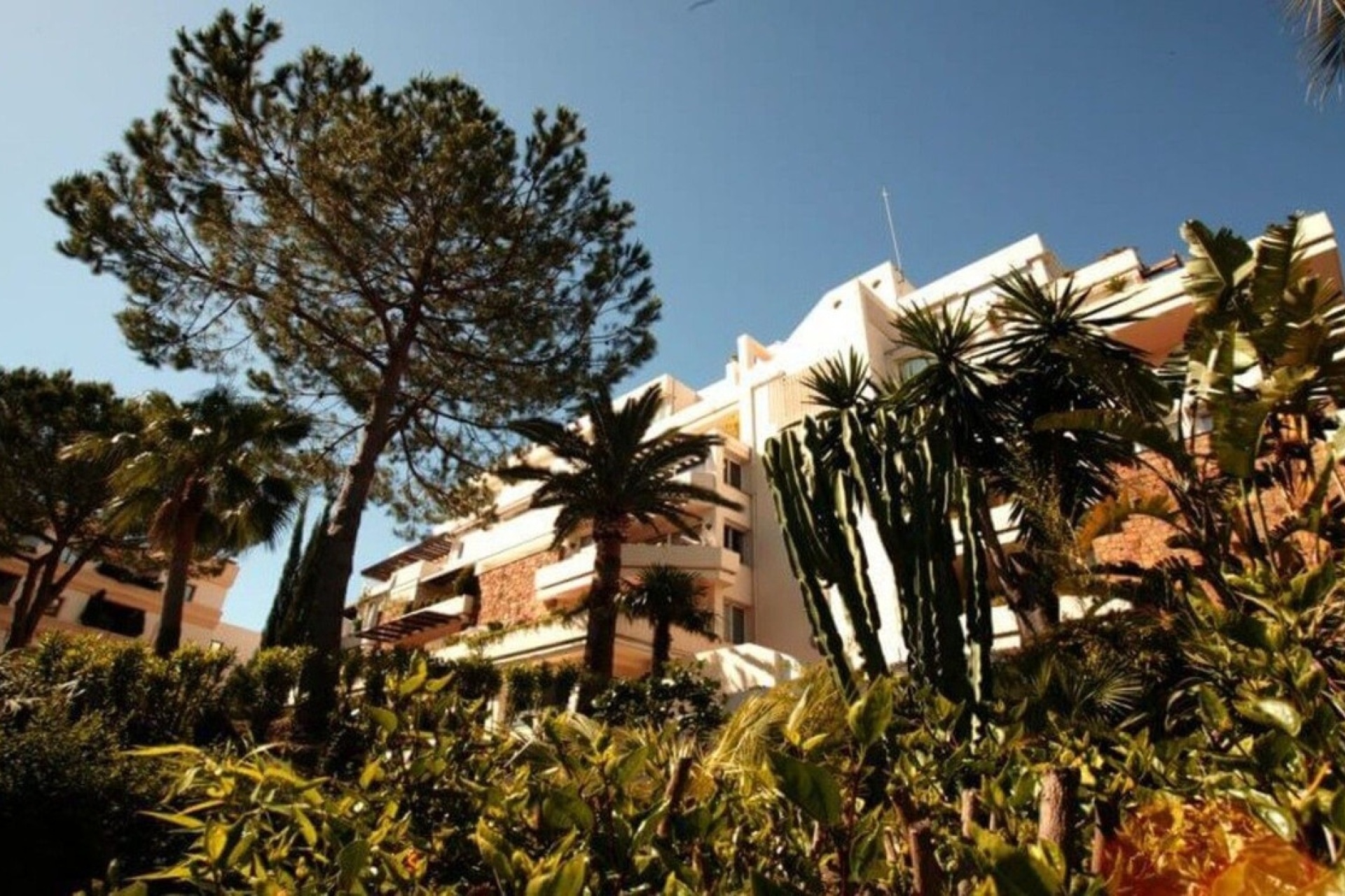 Wiederverkauf - apartment - Marbella - Nueva Andalucía