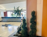 Wiederverkauf - apartment - Marbella - Nueva Andalucía