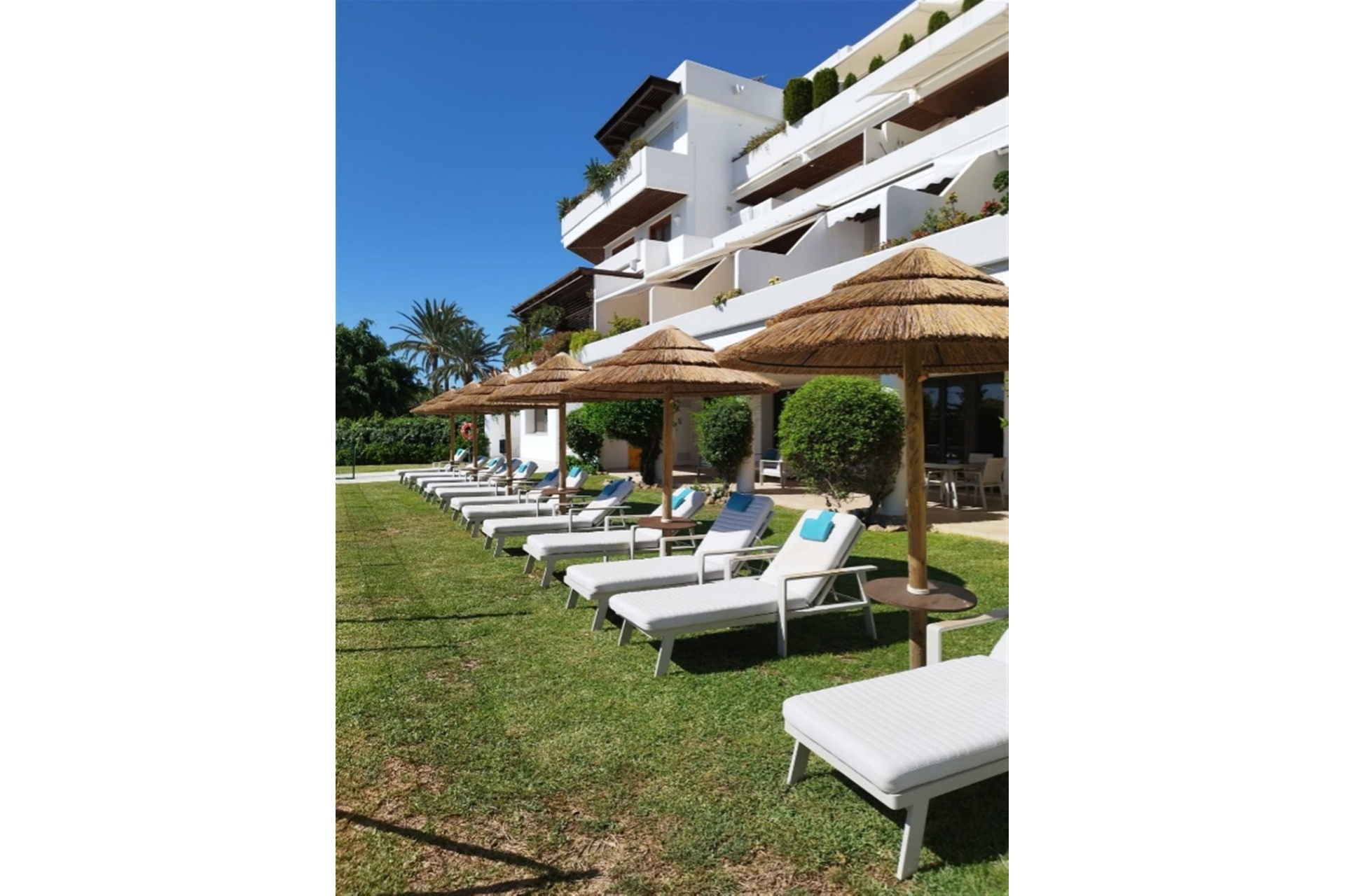 Wiederverkauf - apartment - Marbella - Nueva Andalucía