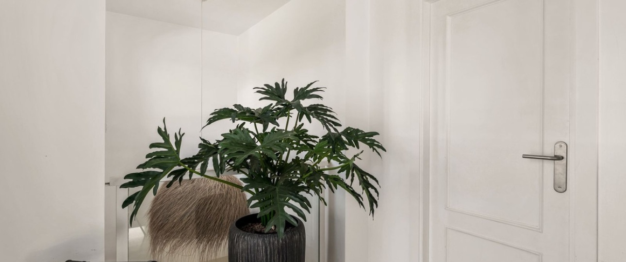Wiederverkauf - apartment - Marbella - Nueva Andalucía
