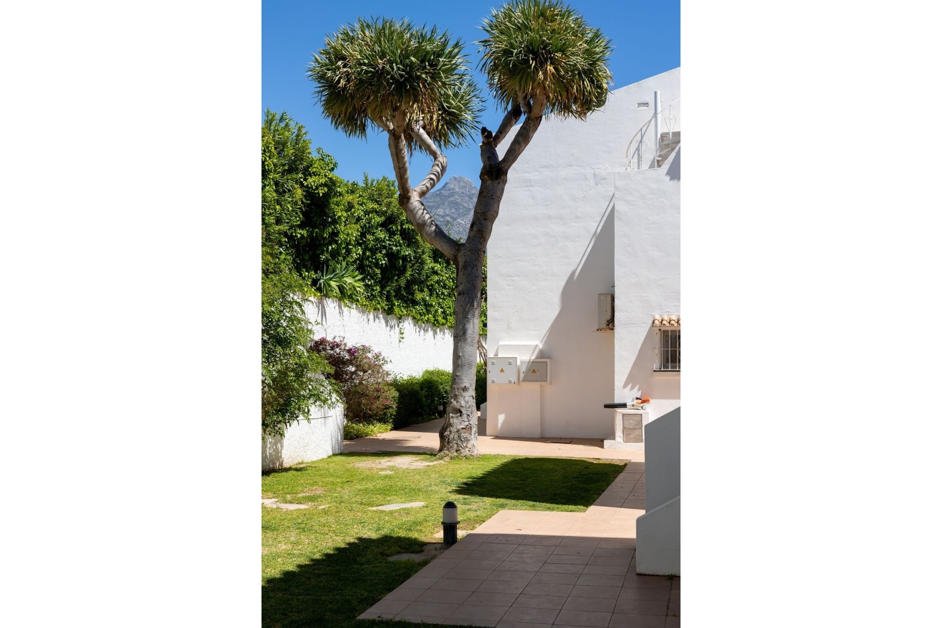 Wiederverkauf - apartment - Marbella - Nueva Andalucía