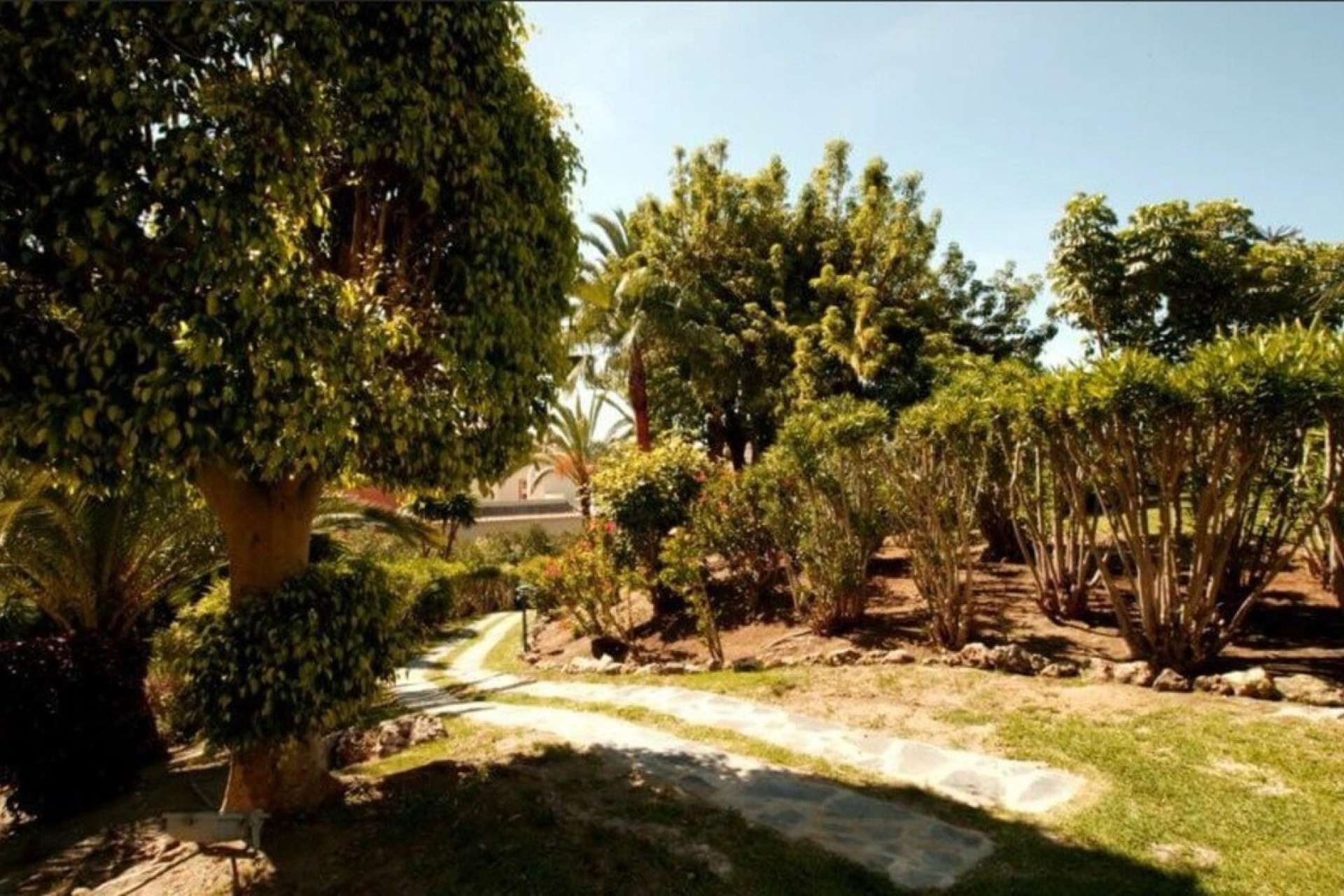 Wiederverkauf - apartment - Marbella - Nueva Andalucía