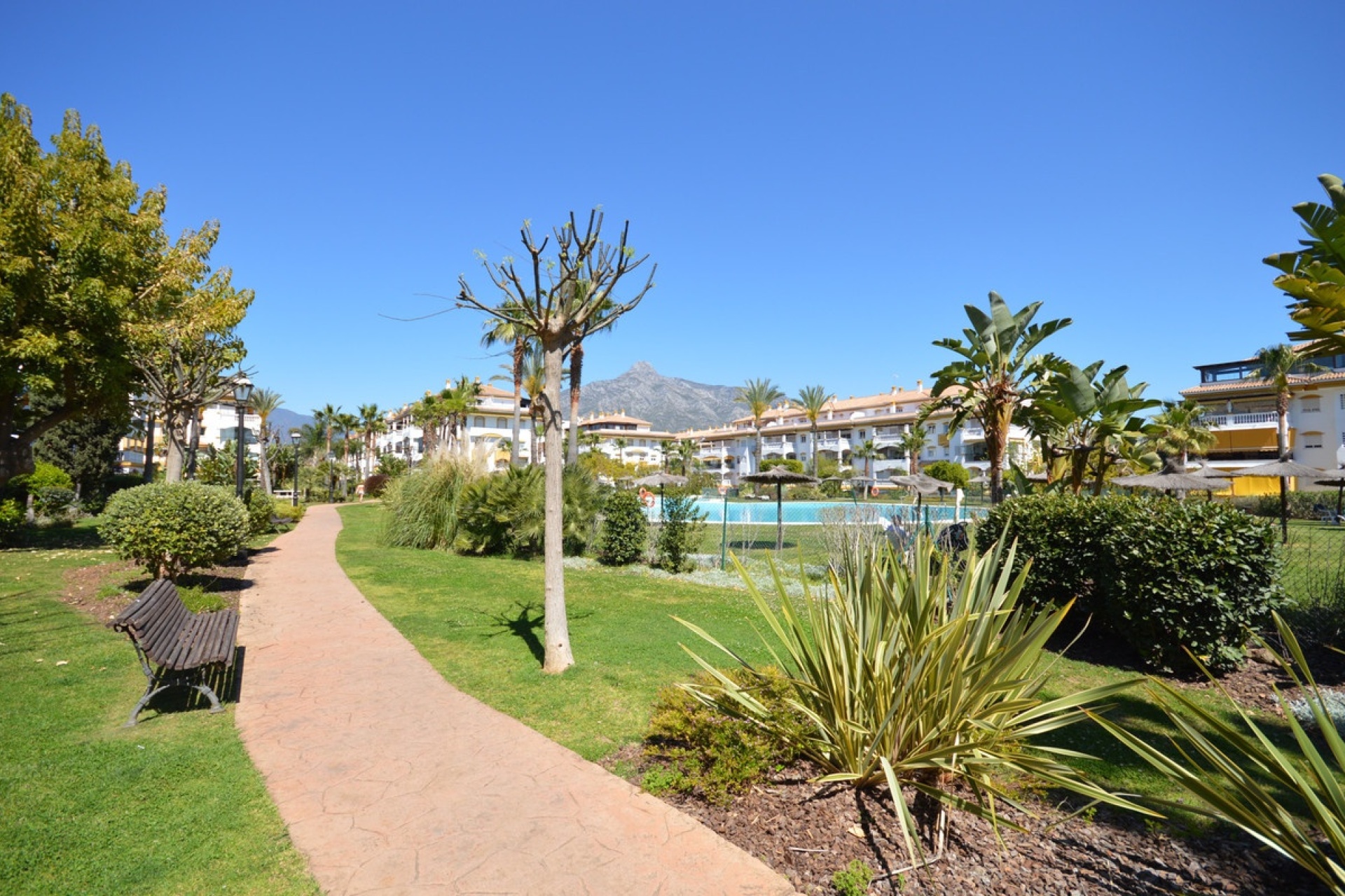 Wiederverkauf - apartment - Marbella - Nueva Andalucía