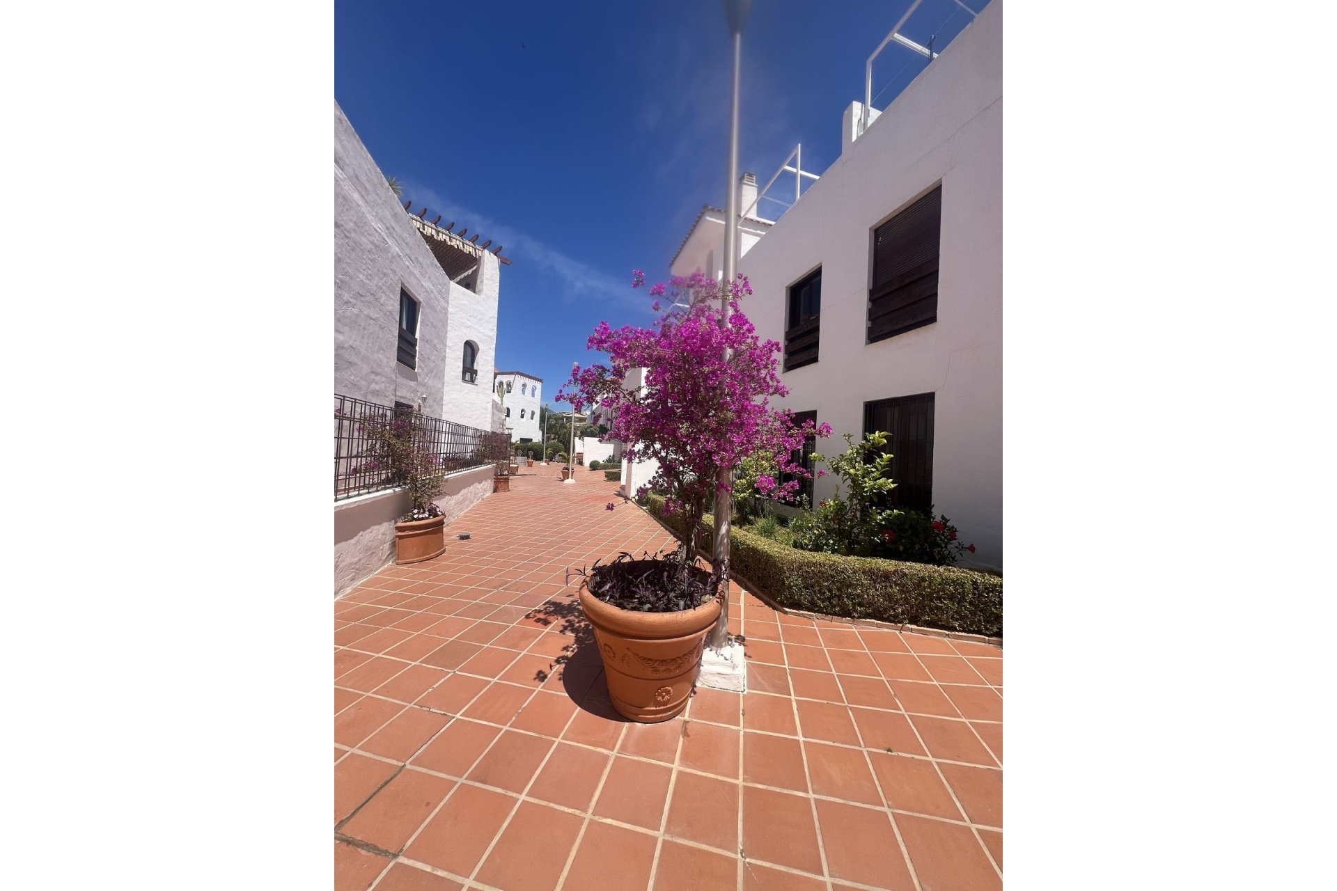 Wiederverkauf - apartment - Marbella - Nueva Andalucía