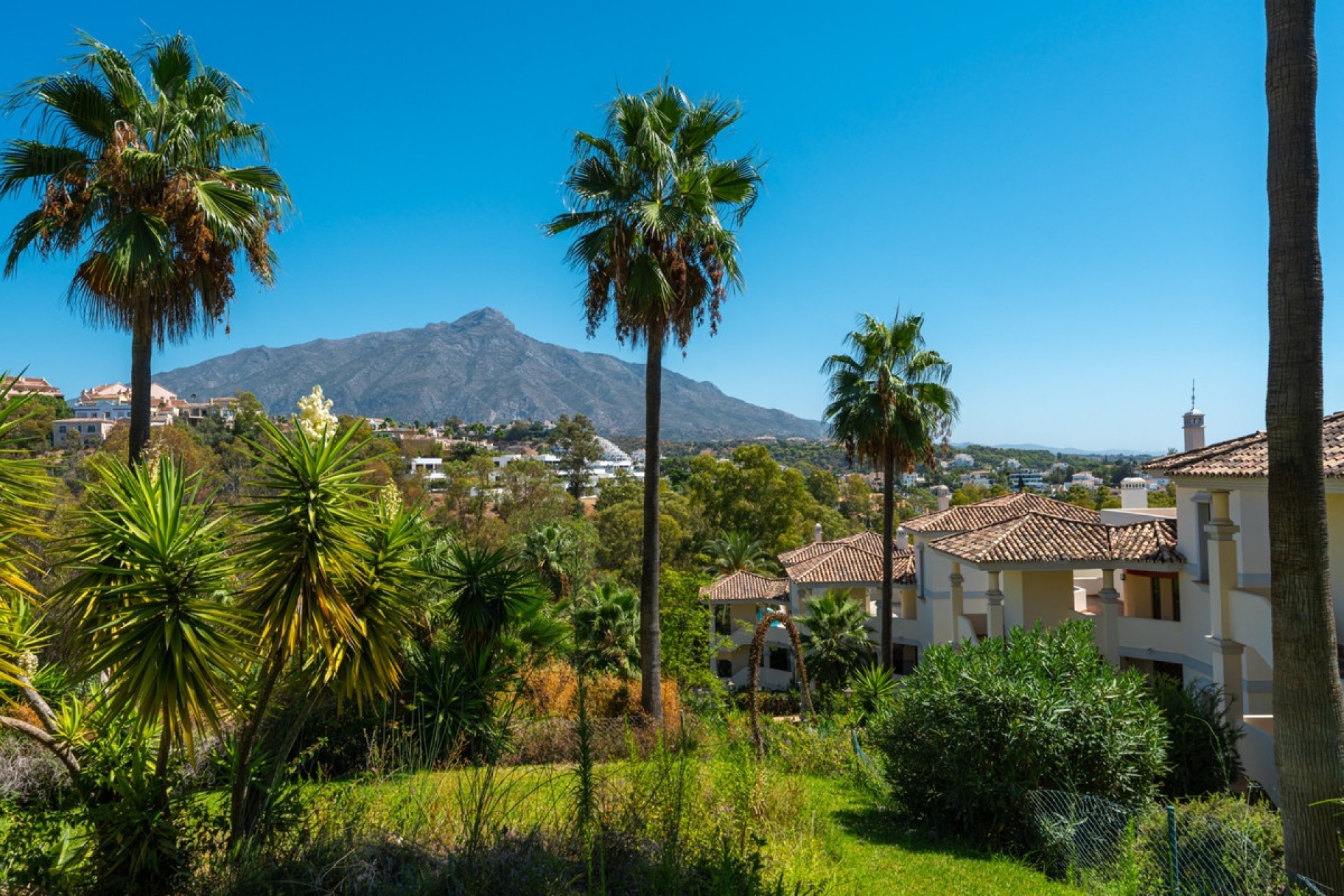 Wiederverkauf - apartment - Marbella - Nueva Andalucía