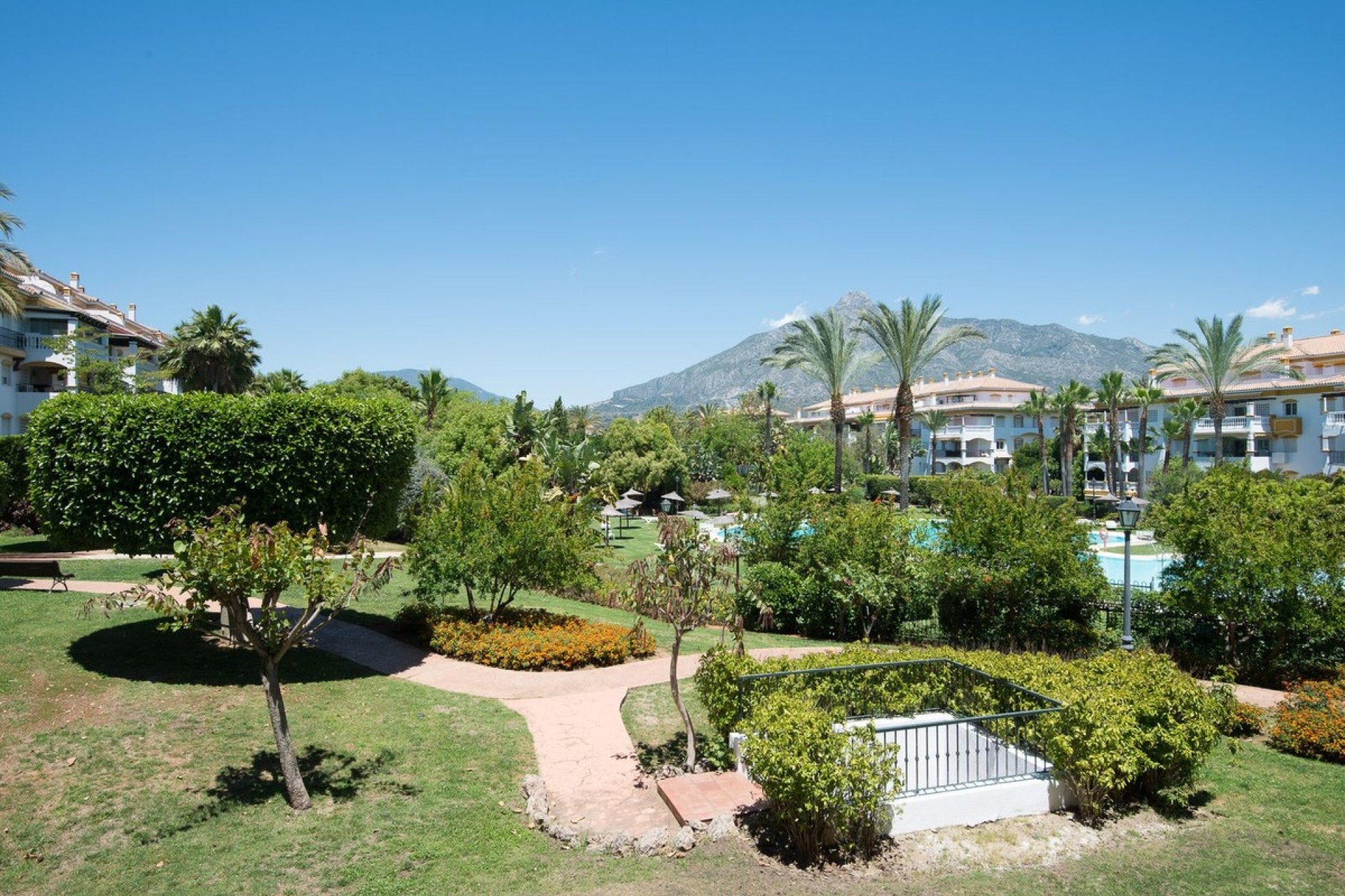 Wiederverkauf - apartment - Marbella - Nueva Andalucía