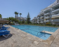 Wiederverkauf - apartment - Marbella - Nueva Andalucía