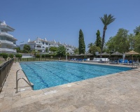 Wiederverkauf - apartment - Marbella - Nueva Andalucía