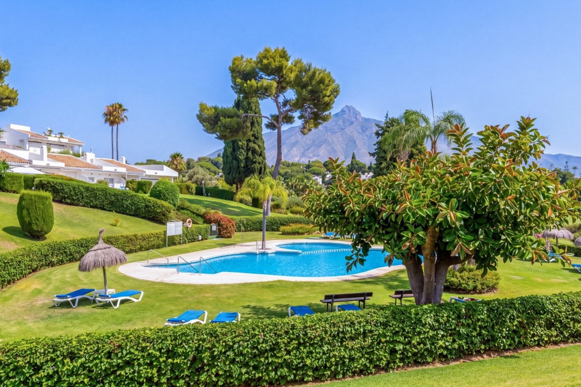 Wiederverkauf - apartment - Marbella - Nueva Andalucía