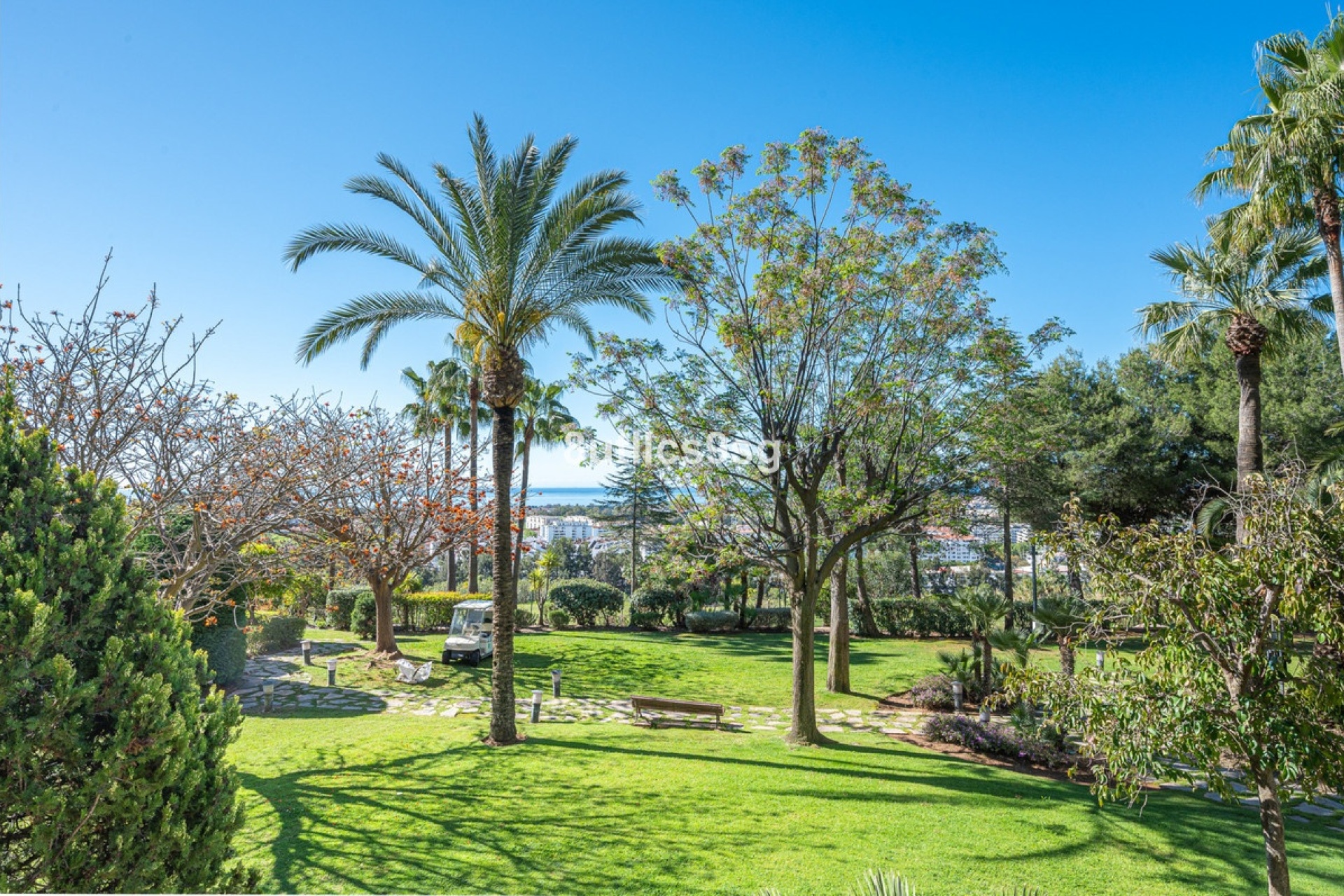 Wiederverkauf - apartment - Marbella - Nueva Andalucía