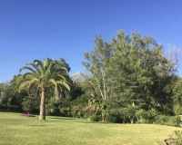 Wiederverkauf - apartment - Marbella - Nueva Andalucía