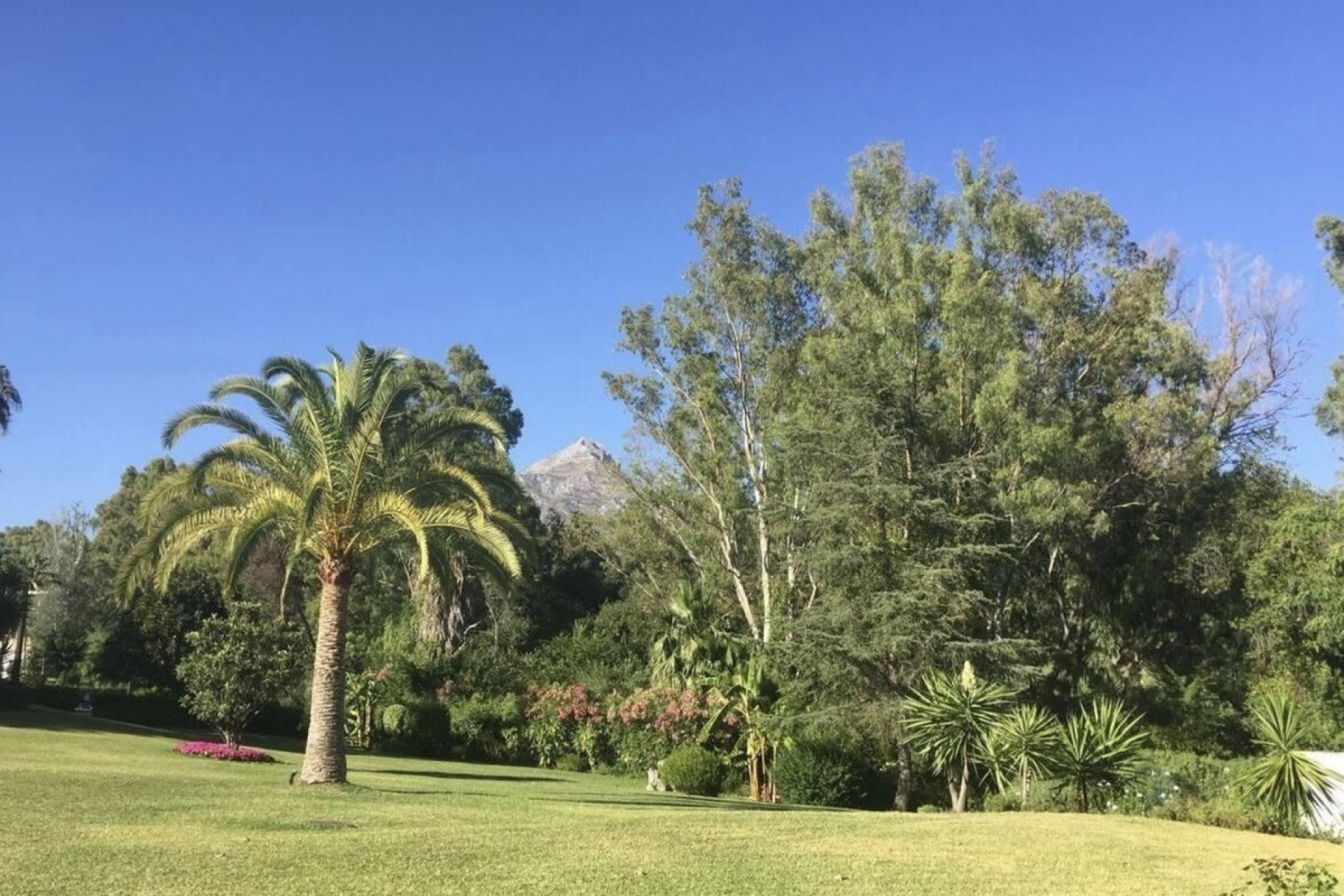 Wiederverkauf - apartment - Marbella - Nueva Andalucía