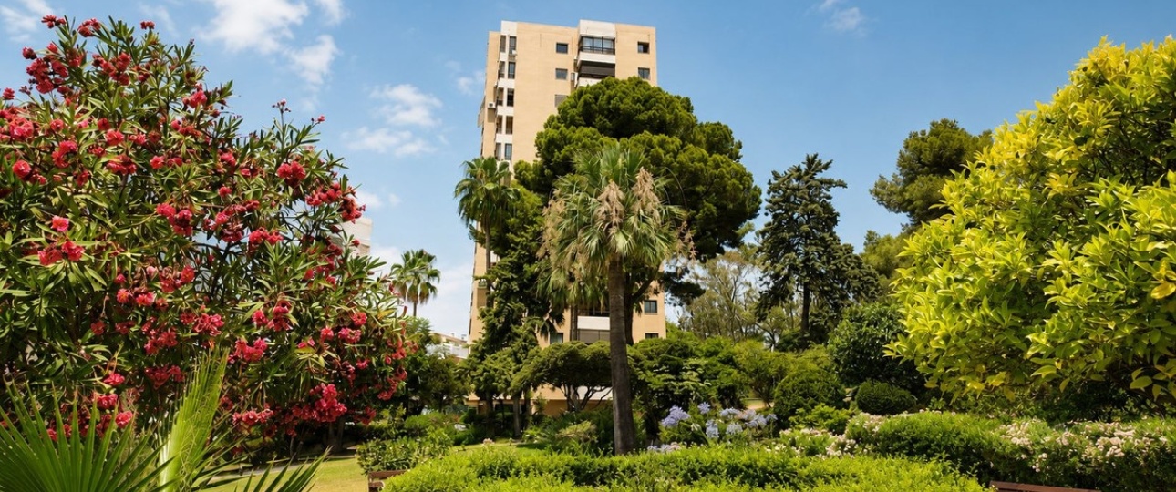 Wiederverkauf - apartment - Marbella - Nueva Andalucía