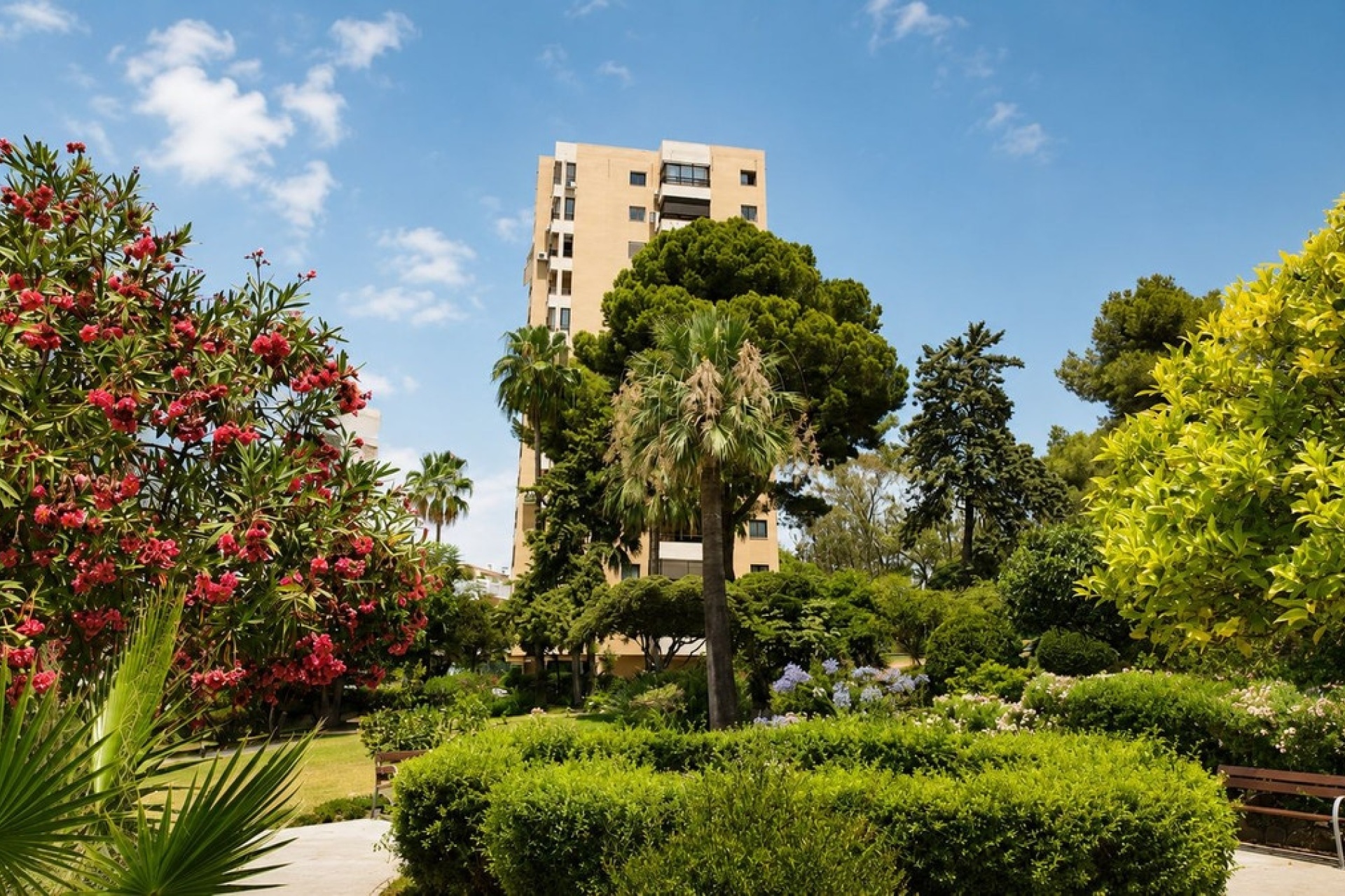 Wiederverkauf - apartment - Marbella - Nueva Andalucía