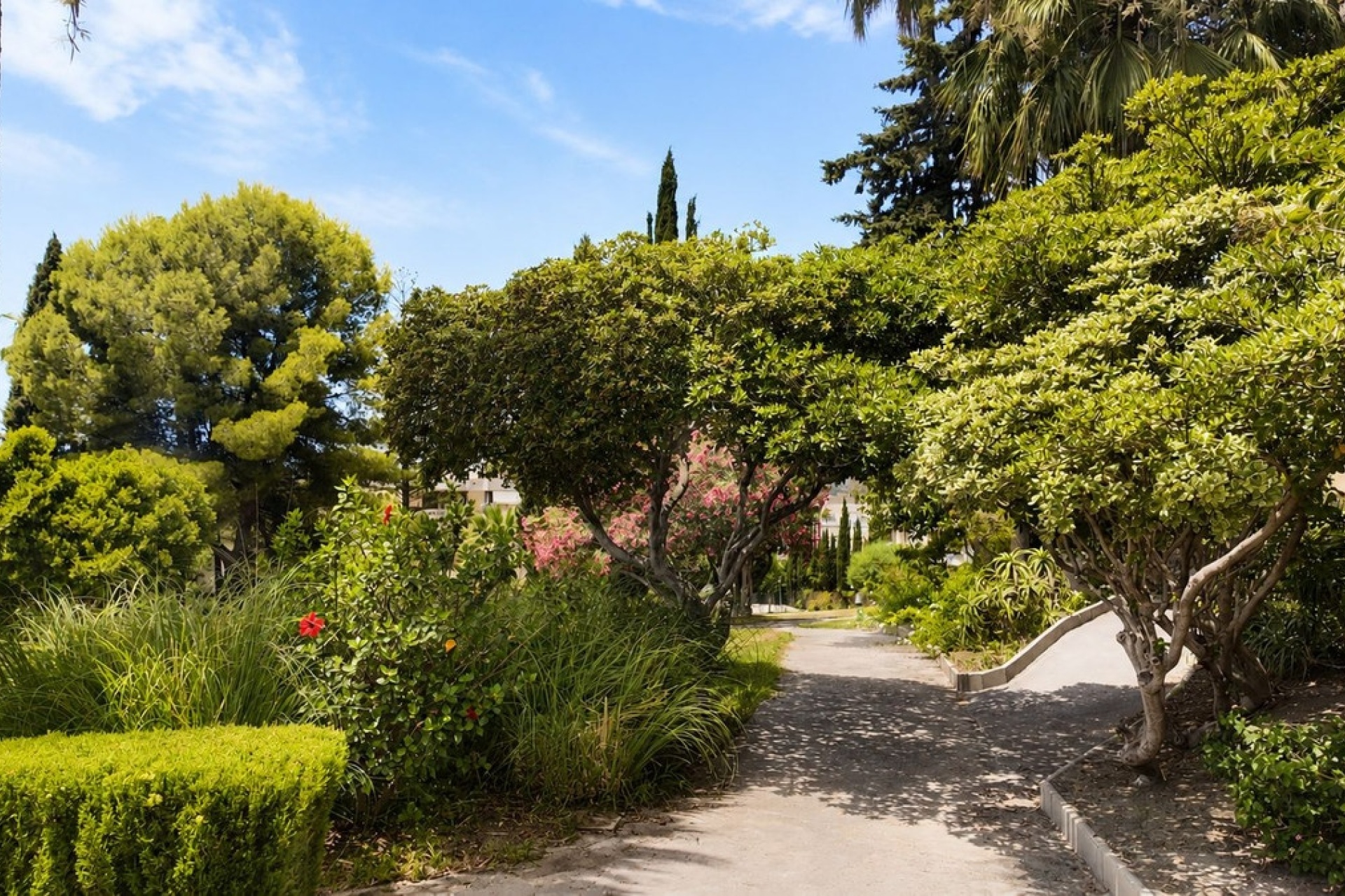 Wiederverkauf - apartment - Marbella - Nueva Andalucía