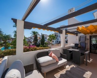 Wiederverkauf - apartment - Marbella - Nueva Andalucía