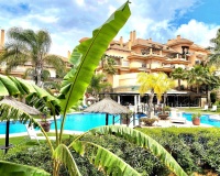Wiederverkauf - apartment - Marbella - Nueva Andalucía