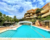 Wiederverkauf - apartment - Marbella - Nueva Andalucía