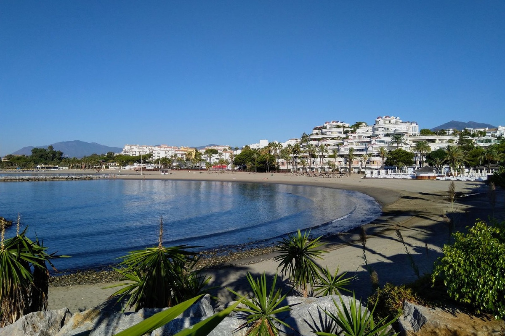 Wiederverkauf - apartment - Marbella - Nueva Andalucía