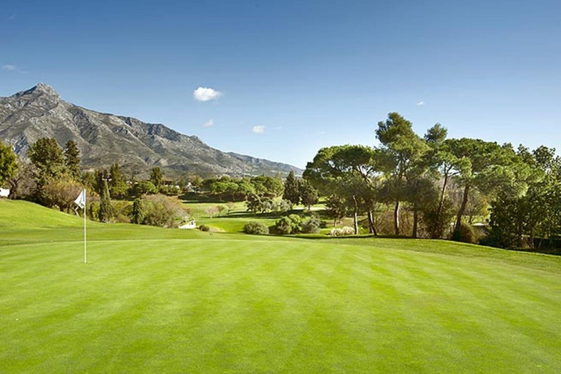 Wiederverkauf - apartment - Marbella - Nueva Andalucía