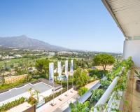 Wiederverkauf - apartment - Marbella - Nueva Andalucía