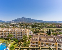 Wiederverkauf - apartment - Marbella - Nueva Andalucía