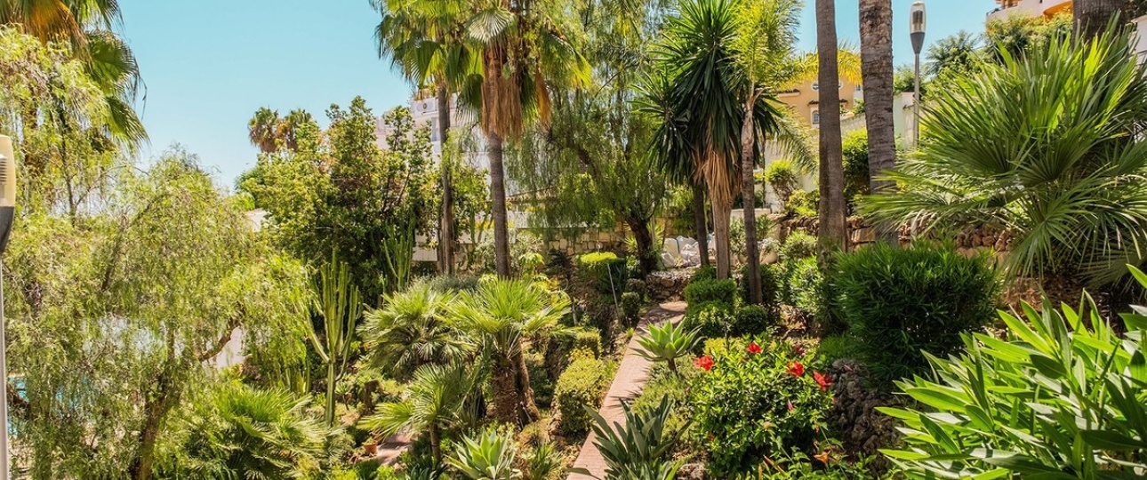 Wiederverkauf - apartment - Marbella - Nueva Andalucía