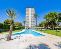 Wiederverkauf - apartment - Marbella - Nueva Andalucía