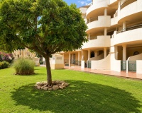 Wiederverkauf - apartment - Marbella - Nueva Andalucía