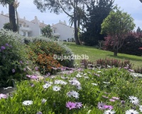 Wiederverkauf - apartment - Marbella - Nueva Andalucía