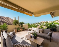 Wiederverkauf - apartment - Marbella - Nueva Andalucía