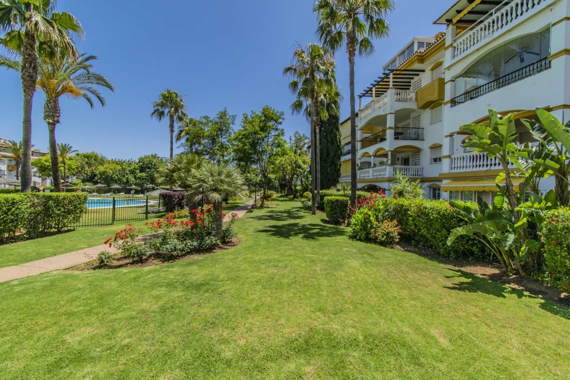 Wiederverkauf - apartment - Marbella - Nueva Andalucía