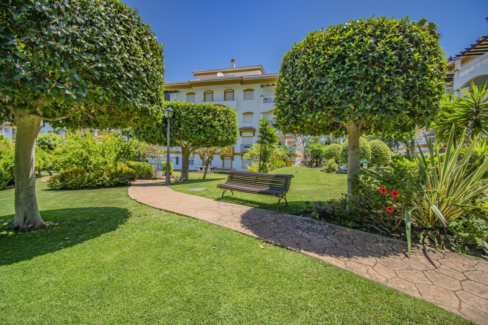 Wiederverkauf - apartment - Marbella - Nueva Andalucía