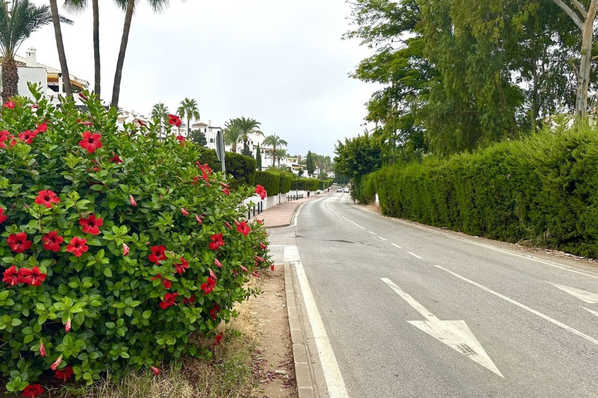 Wiederverkauf - apartment - Marbella - Nueva Andalucía
