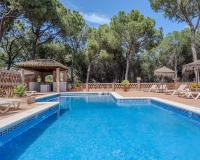 Wiederverkauf - apartment - Marbella - Nueva Andalucía