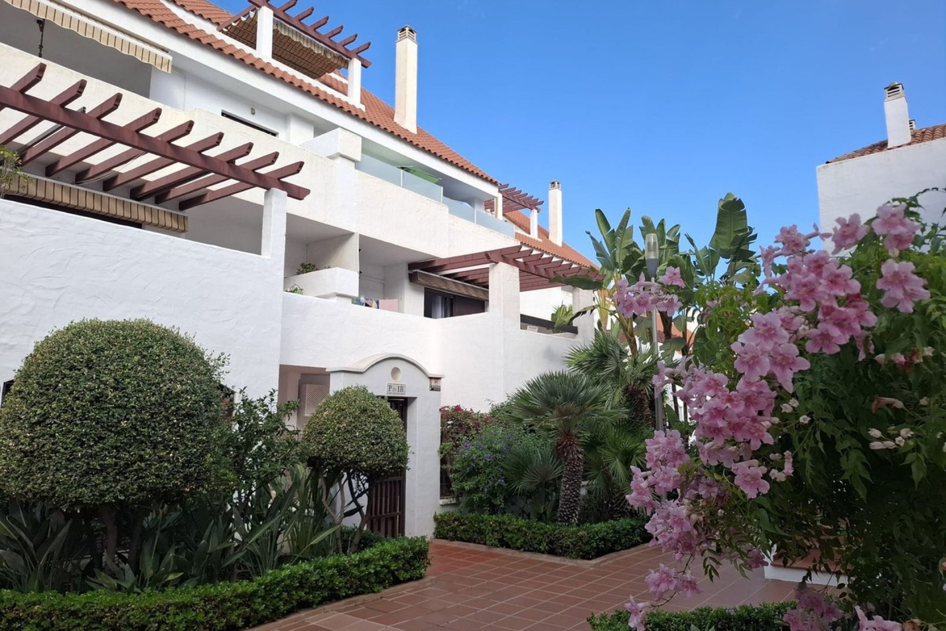 Wiederverkauf - apartment - Marbella - Nueva Andalucía
